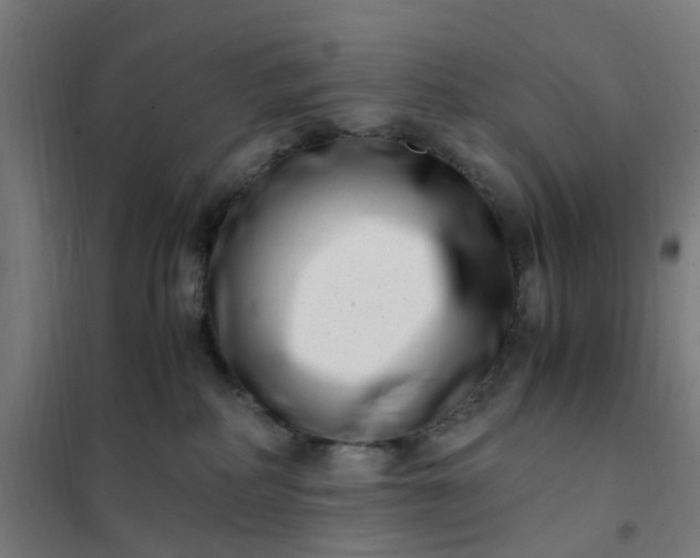 X0000101710234200807241502