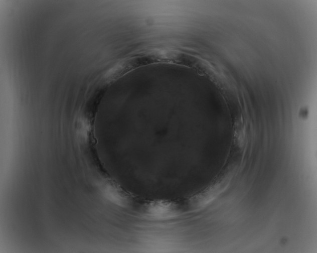 X0000101710235200807241502