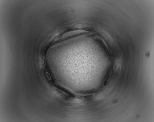 X0000101710236200807241502