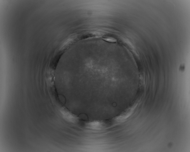 X0000101710237200807241502