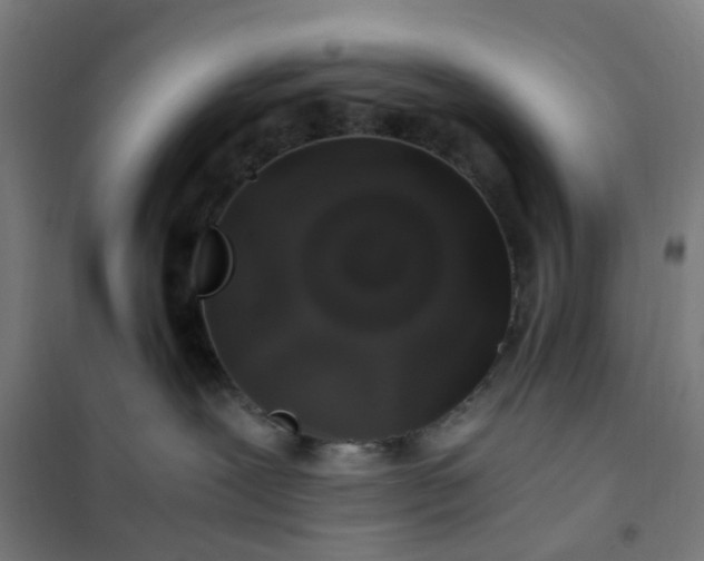 X0000101710239200807241502