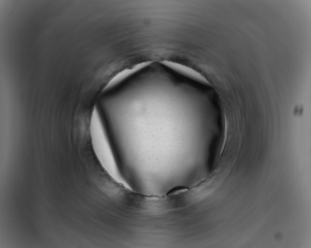 X0000101710240200807241502