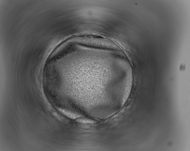 X0000101710241200807241502