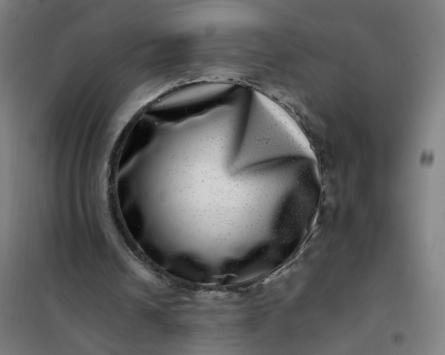 X0000101710242200807241502