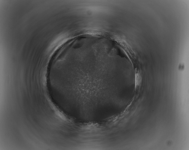 X0000101710243200807241502