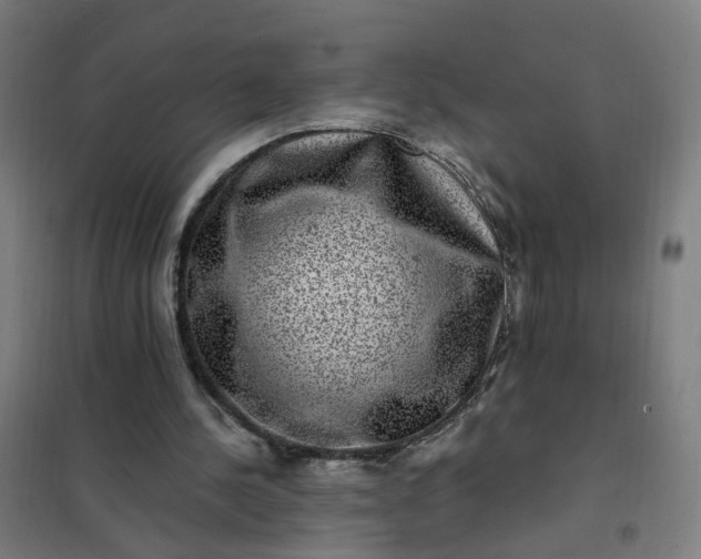 X0000101710244200807241502