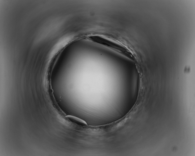 X0000101710245200807241502