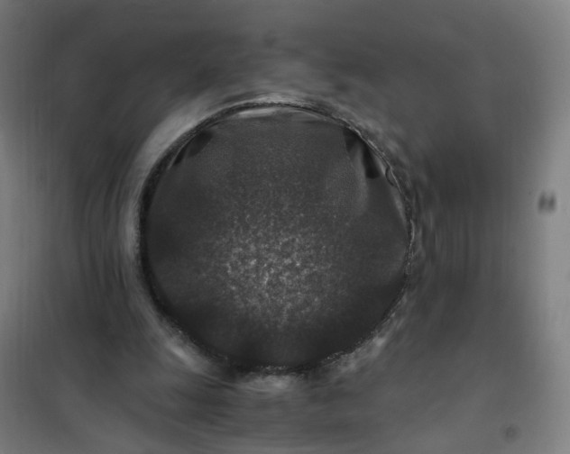 X0000101710247200807241502