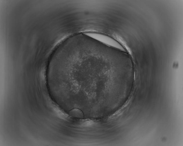 X0000101710249200807241502