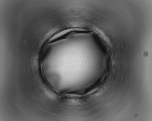 X0000101710250200807241502