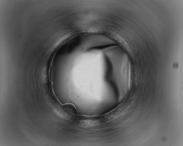 X0000101710251200807241502