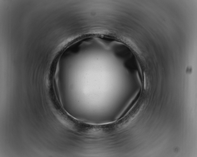 X0000101710252200807241502