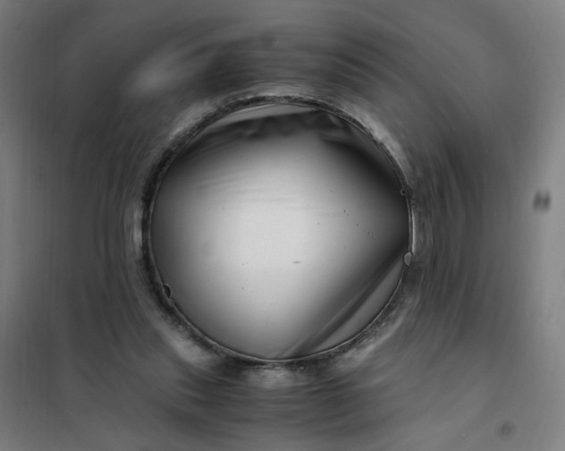 X0000101710253200807241502