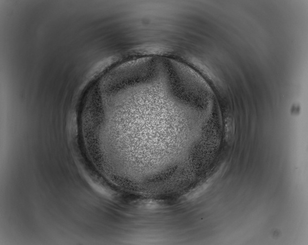 X0000101710254200807241502