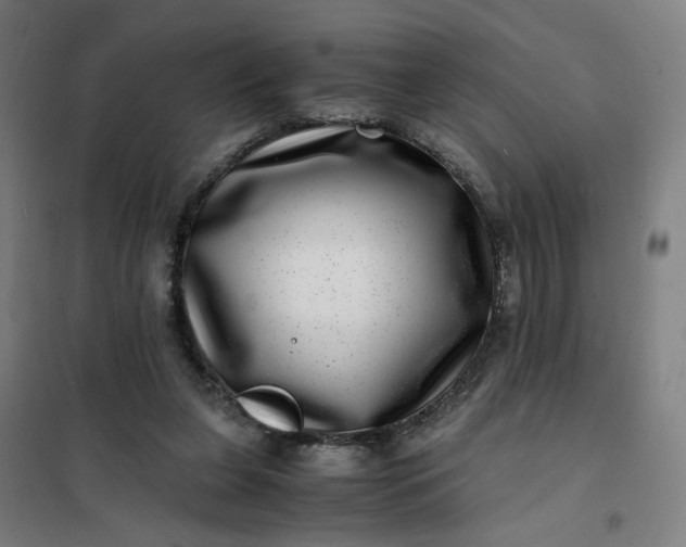 X0000101710255200807241502