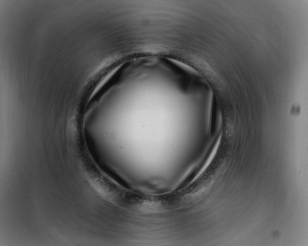 X0000101710256200807241502