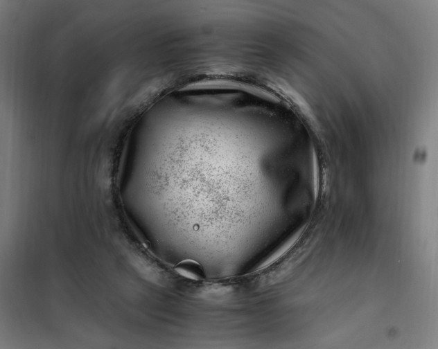 X0000101710257200807241502