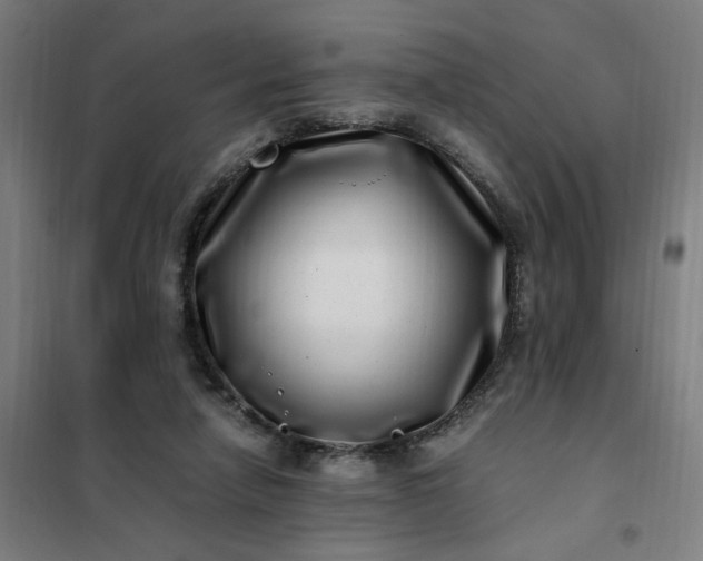 X0000101710258200807241502