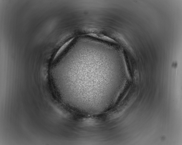 X0000101710259200807241502