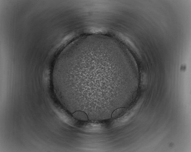 X0000101710260200807241502