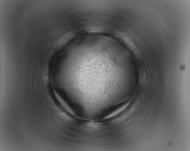 X0000101710261200807241502