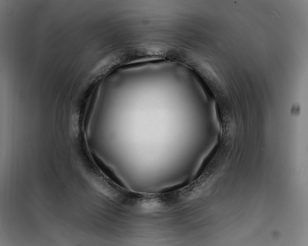 X0000101710262200807241502