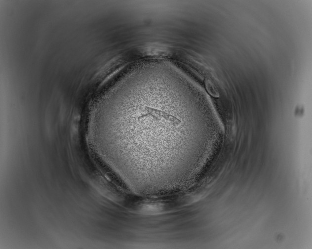 X0000101710263200807241502