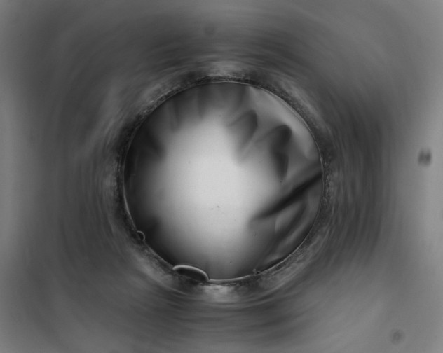 X0000101710265200807241502