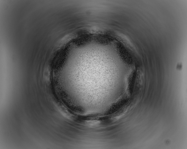 X0000101710266200807241502