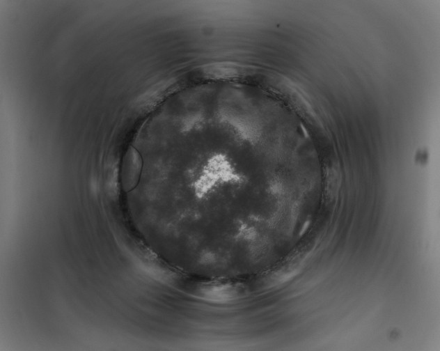 X0000101710267200807241502