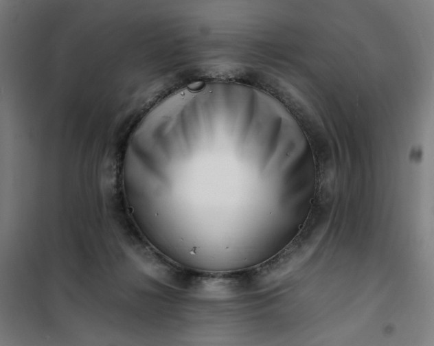 X0000101710268200807241502