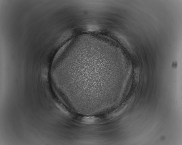 X0000101710269200807241502