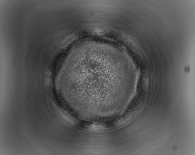 X0000101710270200807241502