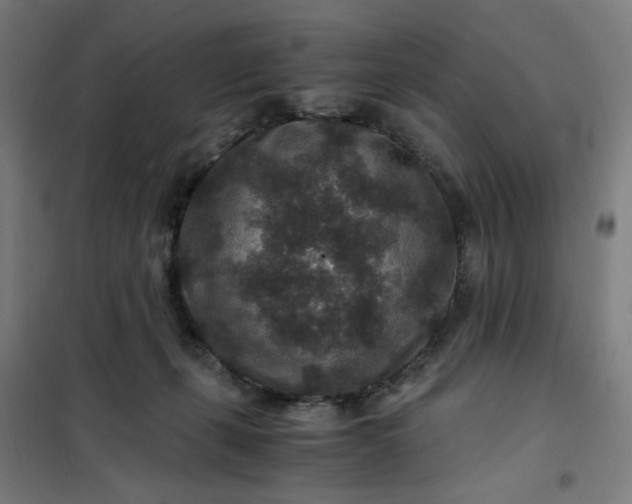 X0000101710271200807241502