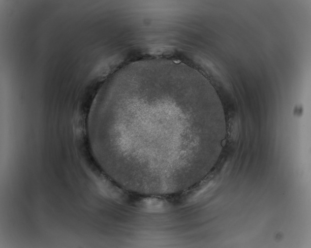 X0000101710272200807241502