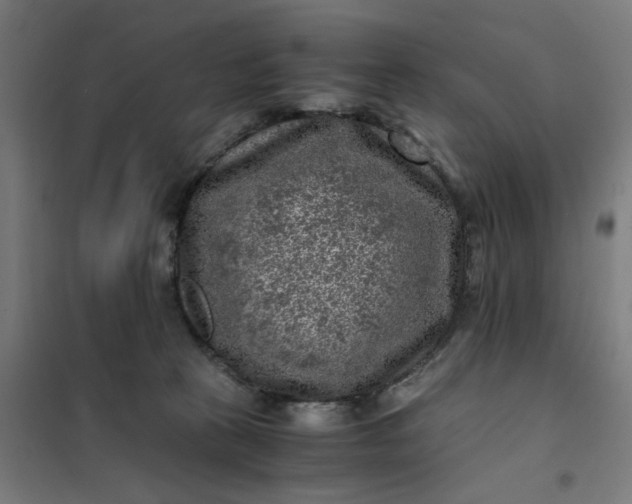 X0000101710273200807241502