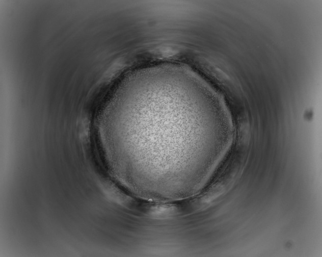 X0000101710274200807241502