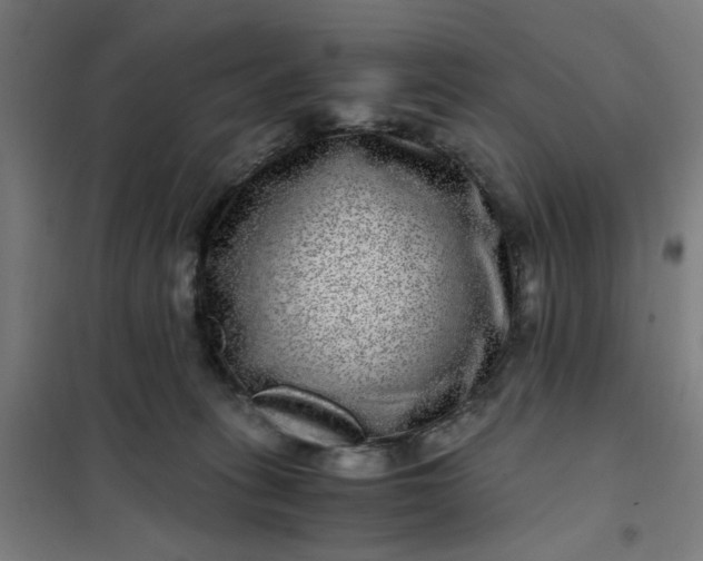 X0000101710275200807241502