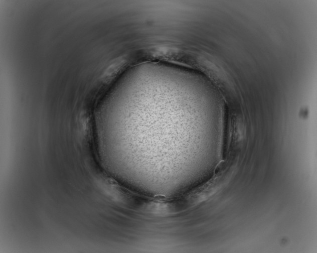 X0000101710276200807241502