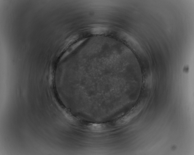 X0000101710277200807241502