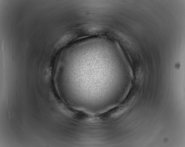 X0000101710278200807241502