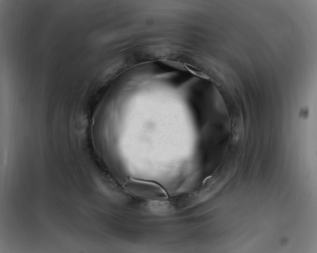 X0000101710279200807241502