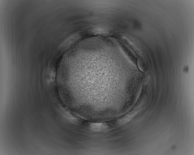 X0000101710281200807241502