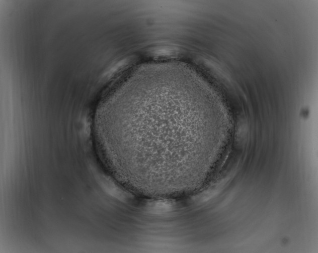 X0000101710282200807241502