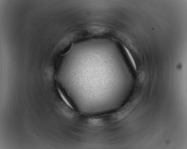 X0000101710283200807241502