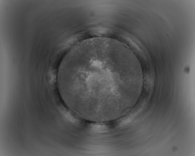 X0000101710284200807241502