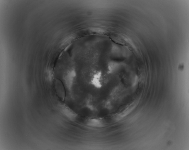 X0000101710285200807241502