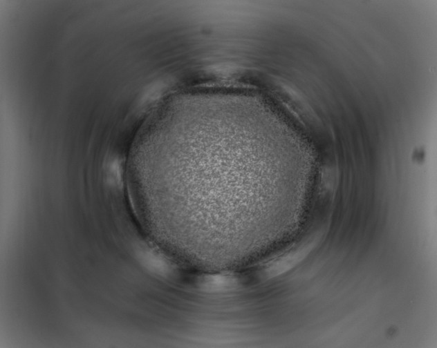 X0000101710286200807241502