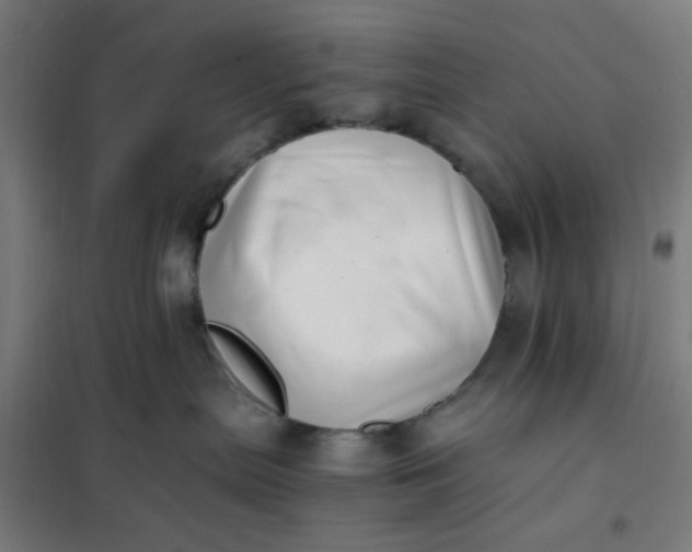 X0000101710287200807241502