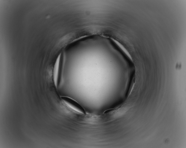 X0000101710288200807241502